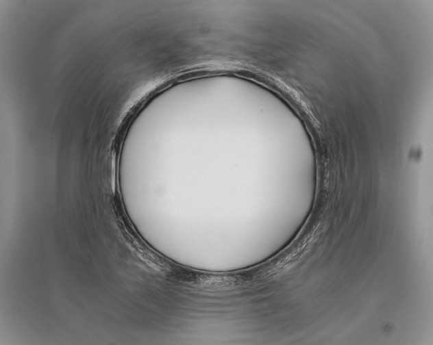 X0000096201171200802151519