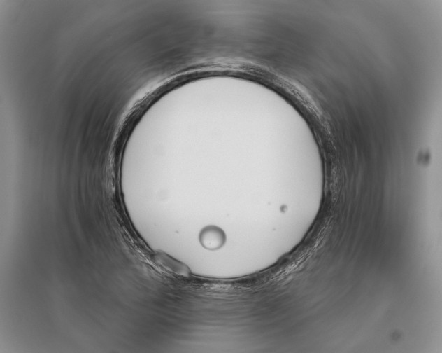 X0000096201172200802151519