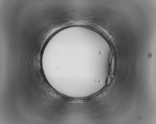 X0000096201174200802151519