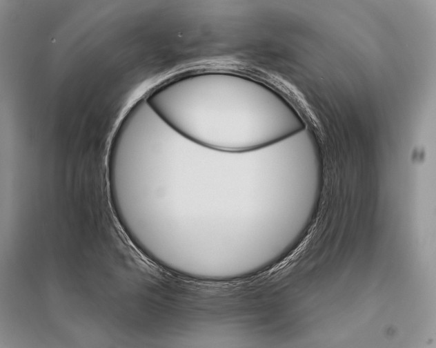 X0000096201176200802151519