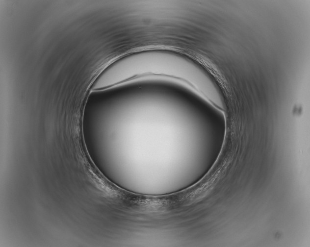 X0000096201177200802151519