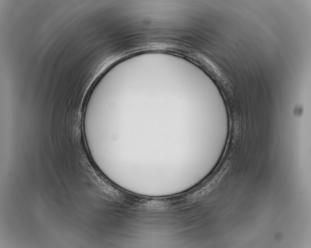 X0000096201178200802151519