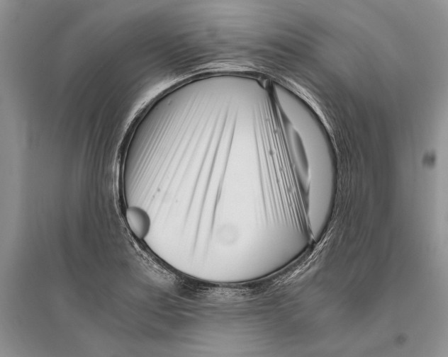 X0000096201179200802151519