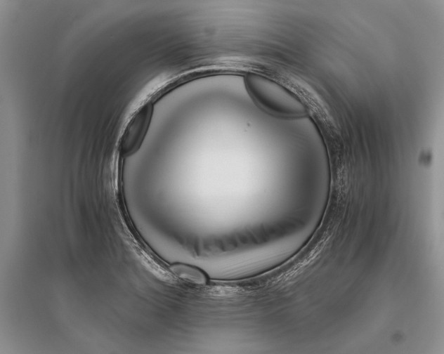 X0000096201180200802151519