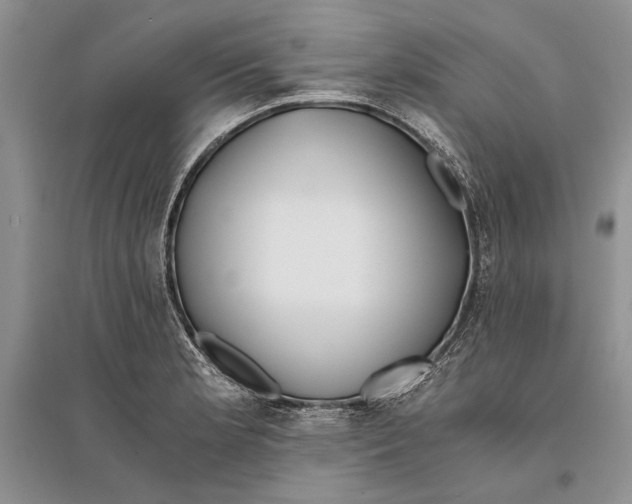 X0000096201181200802151519