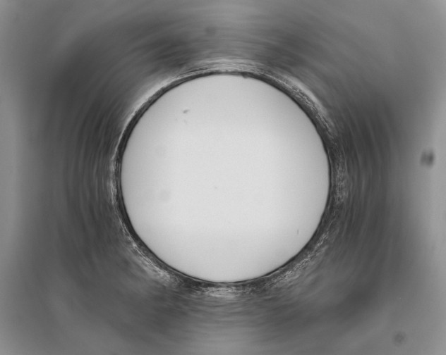 X0000096201182200802151519