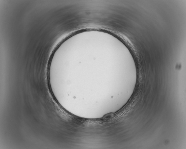 X0000096201183200802151518