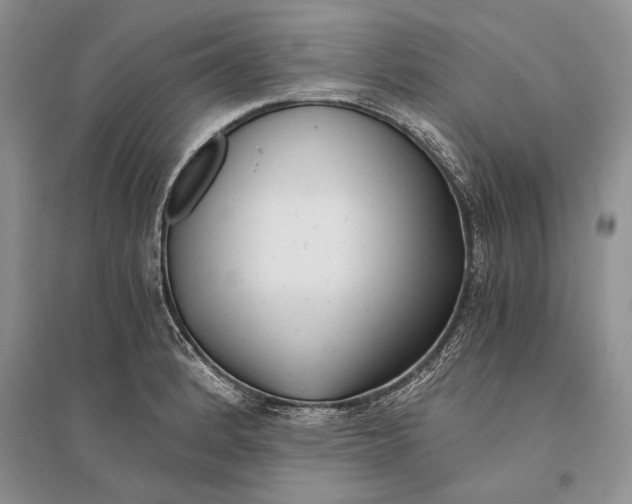 X0000096201184200802151518