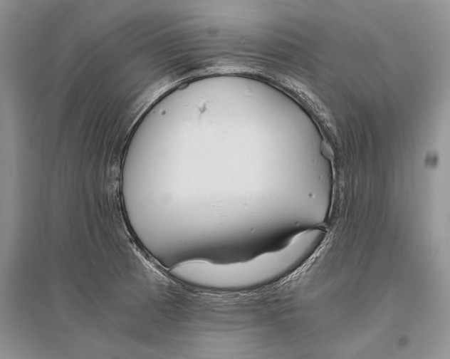 X0000096201185200802151518