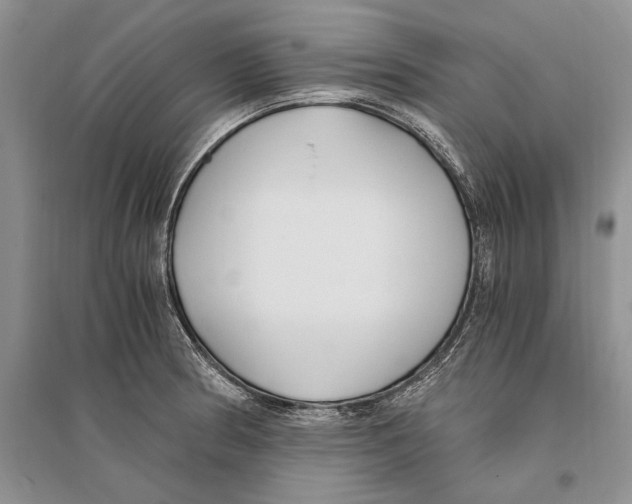 X0000096201186200802151518