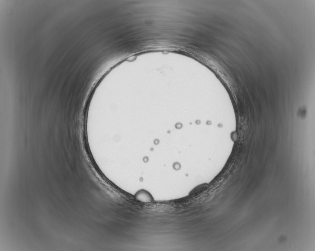 X0000096201187200802151518