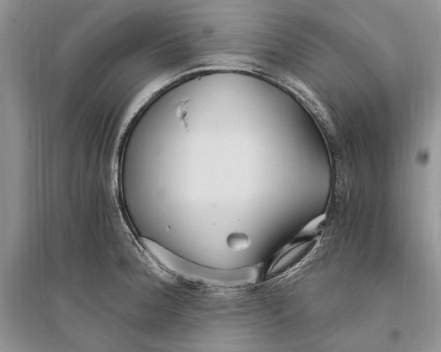 X0000096201188200802151518