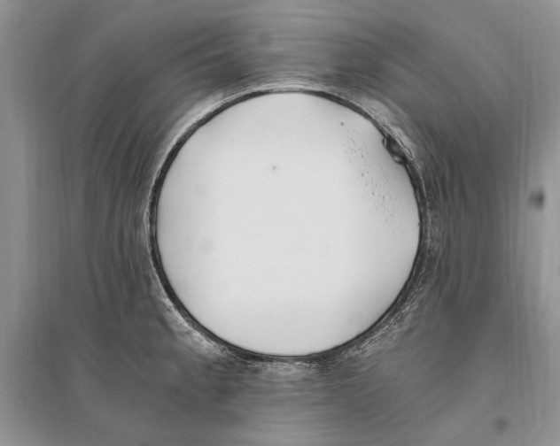 X0000096201189200802151518