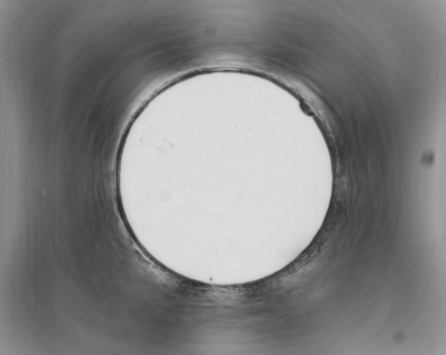 X0000096201191200802151518