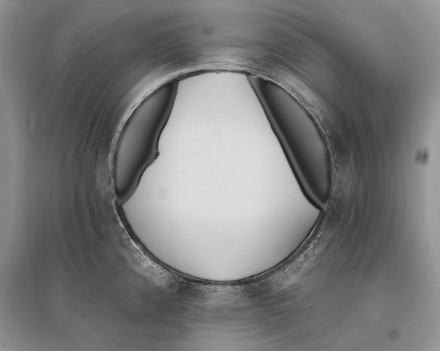 X0000096201192200802151518