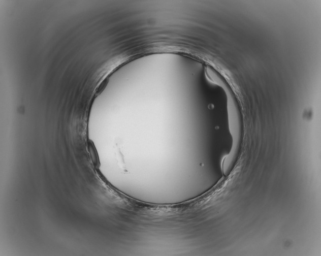 X0000096201193200802151518