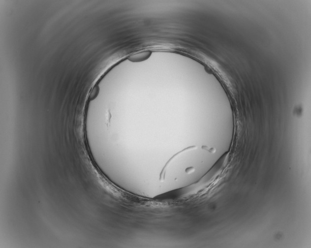 X0000096201194200802151518