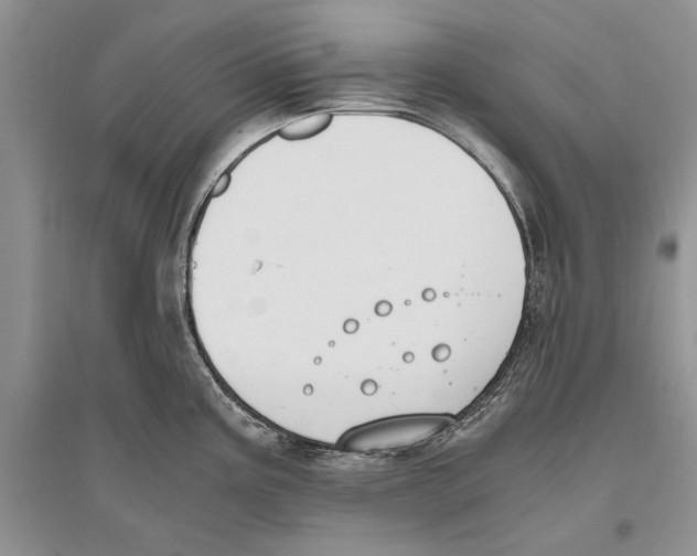 X0000096201195200802151518