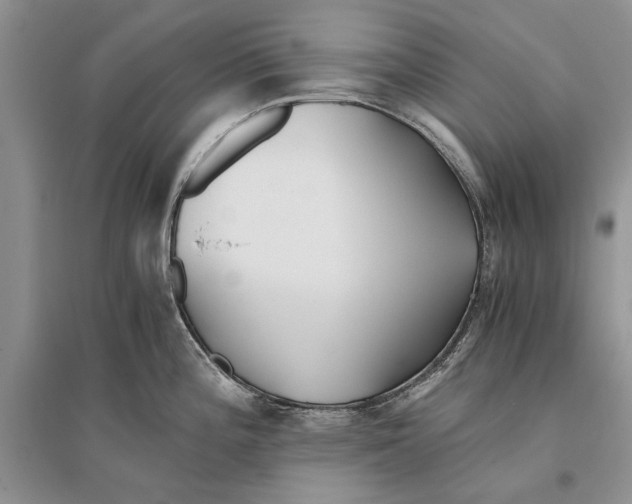 X0000096201196200802151518