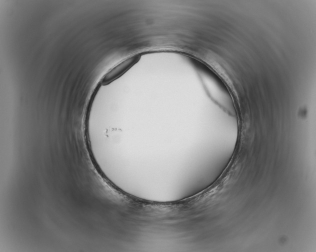 X0000096201197200802151518