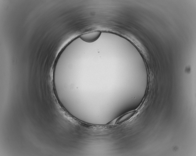 X0000096201198200802151518