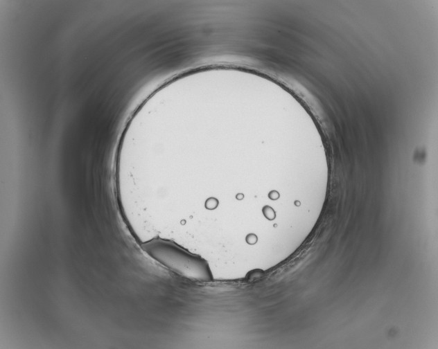 X0000096201199200802151518