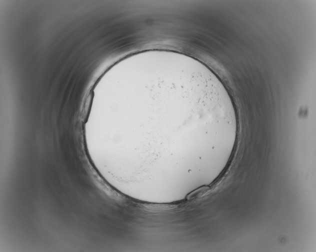 X0000096201200200802151518