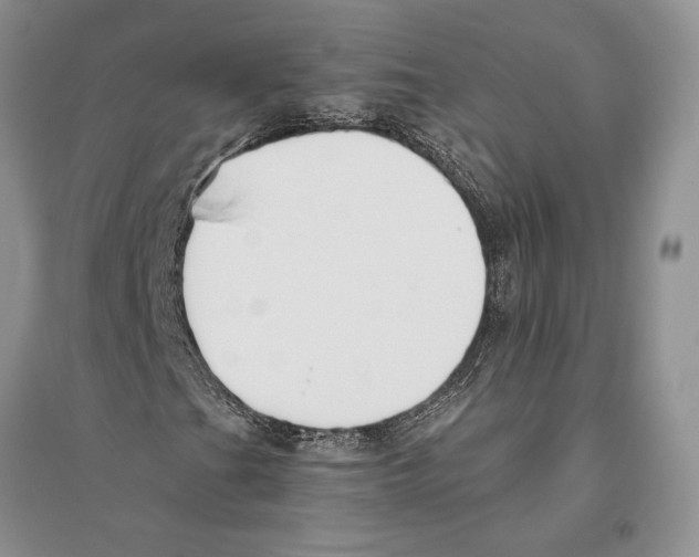 X0000096201201200802151518