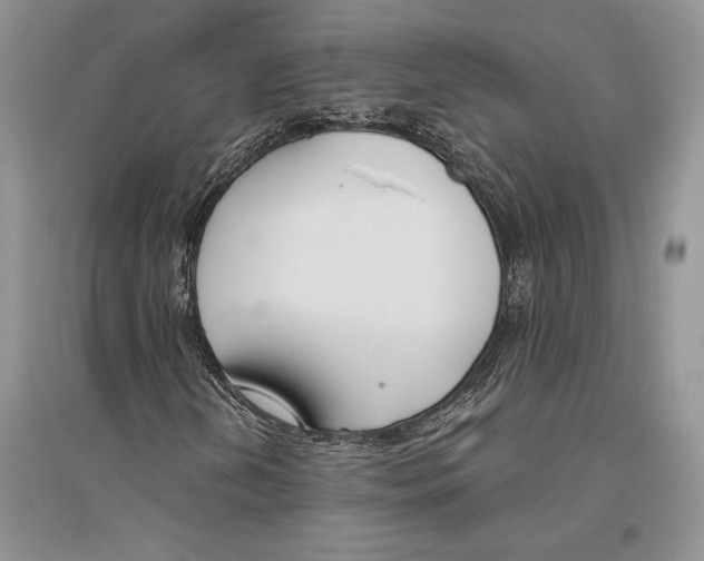 X0000096201202200802151518