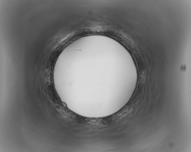 X0000096201205200802151518