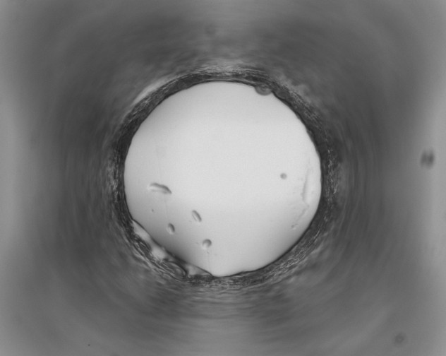 X0000096201206200802151518