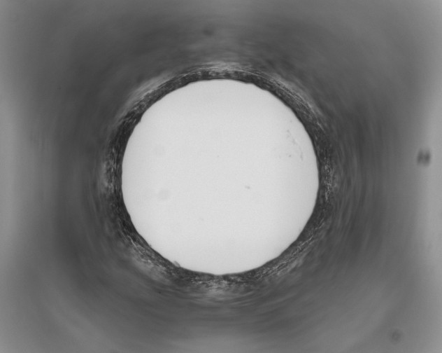 X0000096201207200802151518