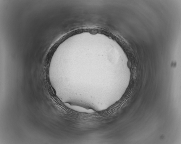 X0000096201208200802151518