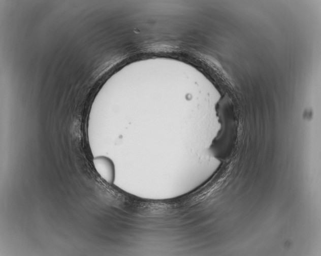 X0000096201209200802151518