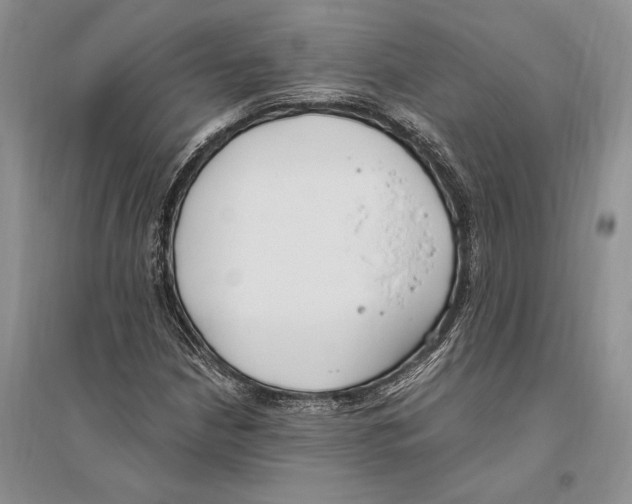 X0000096201210200802151518