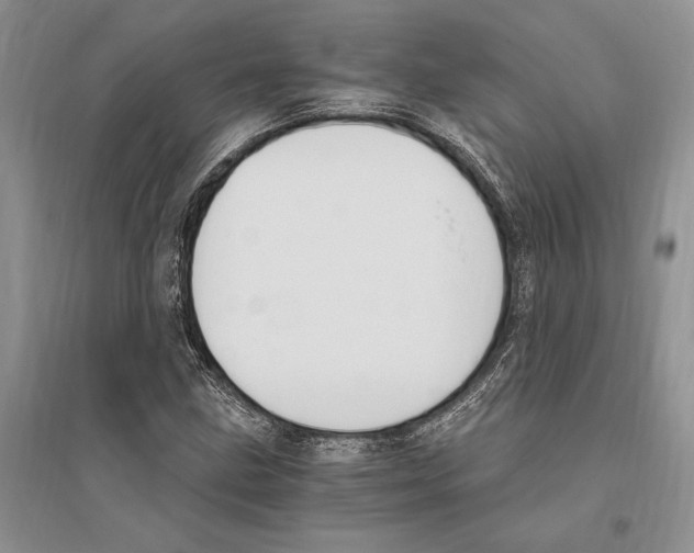 X0000096201211200802151518