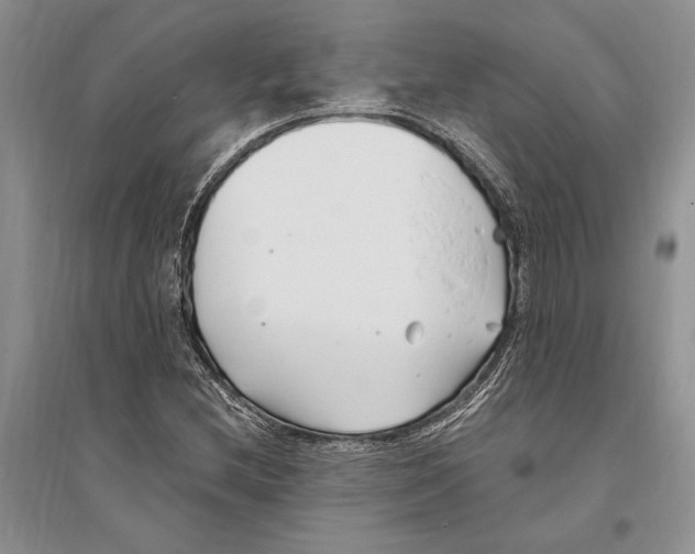 X0000096201212200802151518