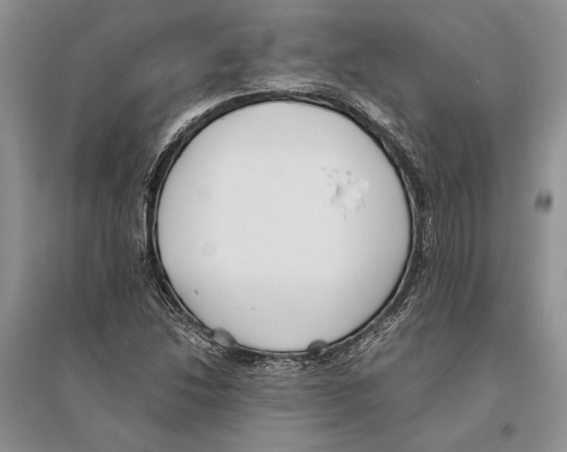 X0000096201214200802151518