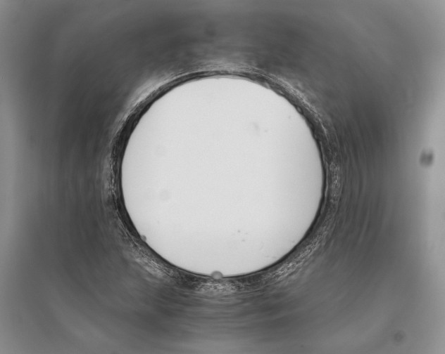 X0000096201215200802151518