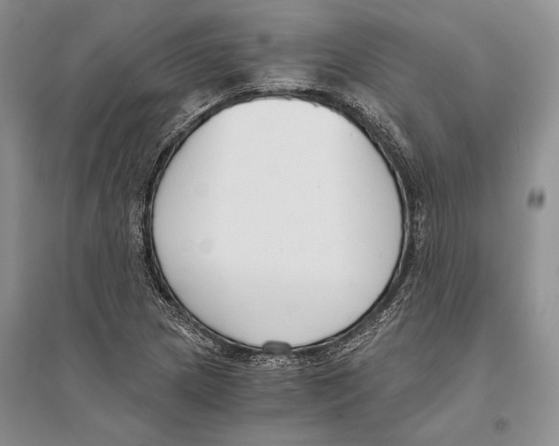 X0000096201217200802151518