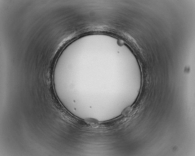 X0000096201218200802151518