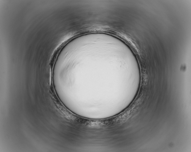 X0000096201219200802151518