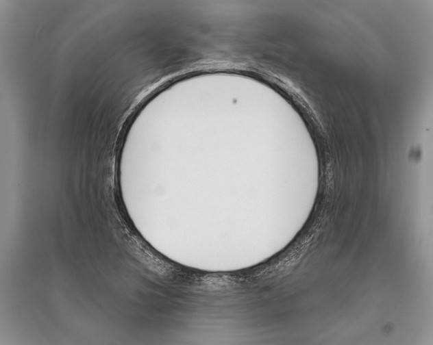 X0000096201220200802151518