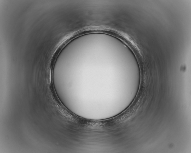 X0000096201221200802151518