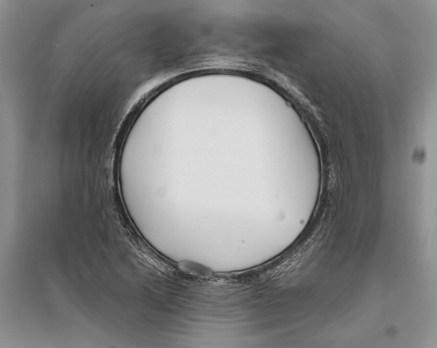 X0000096201222200802151518