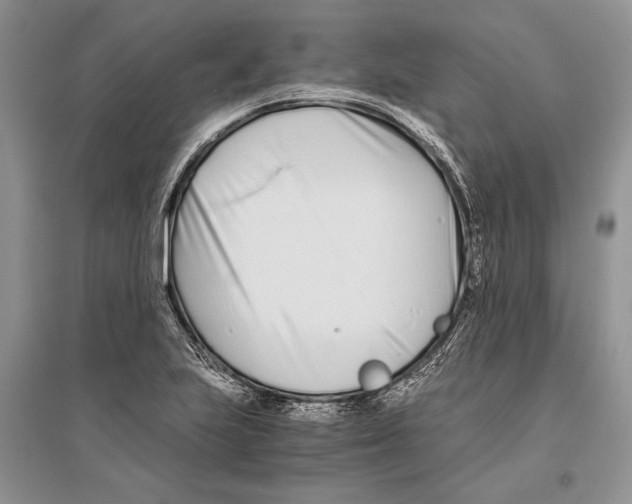 X0000096201223200802151518