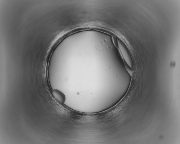 X0000096201224200802151518