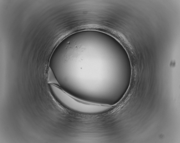 X0000096201225200802151518