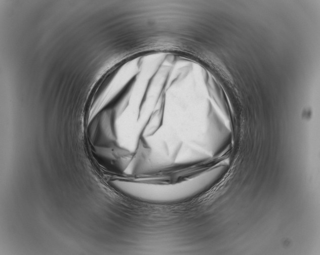 X0000096201226200802151518