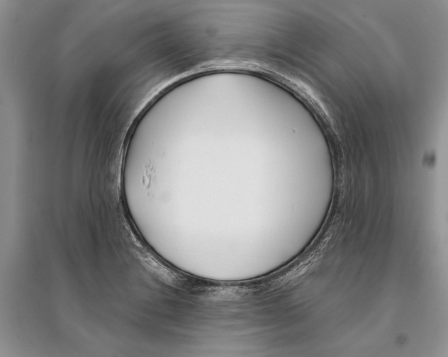 X0000096201228200802151518